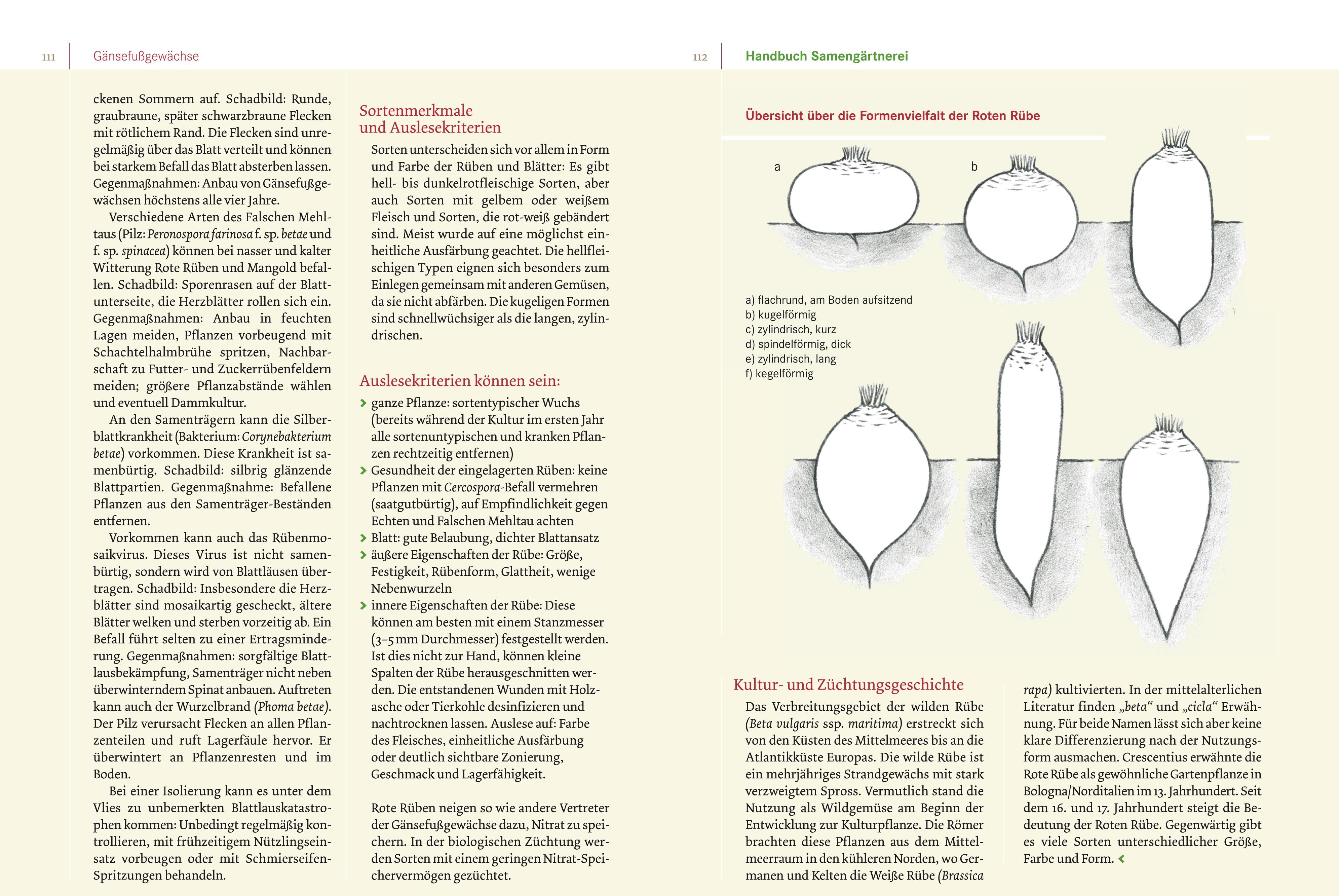 Handbuch Samengärtnerei