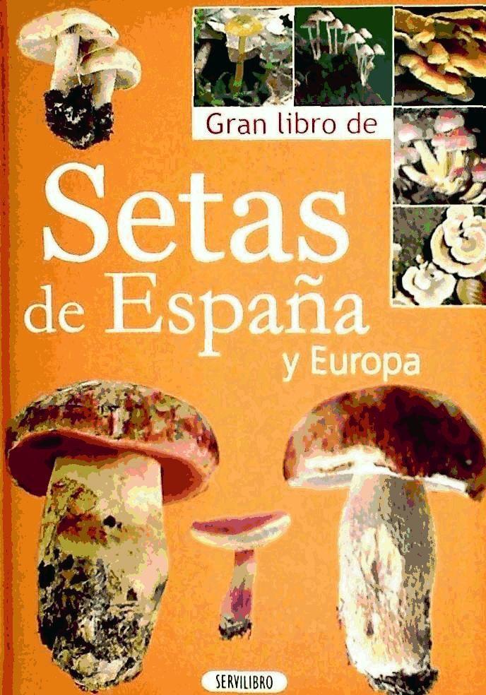 SETAS Y HONGOS