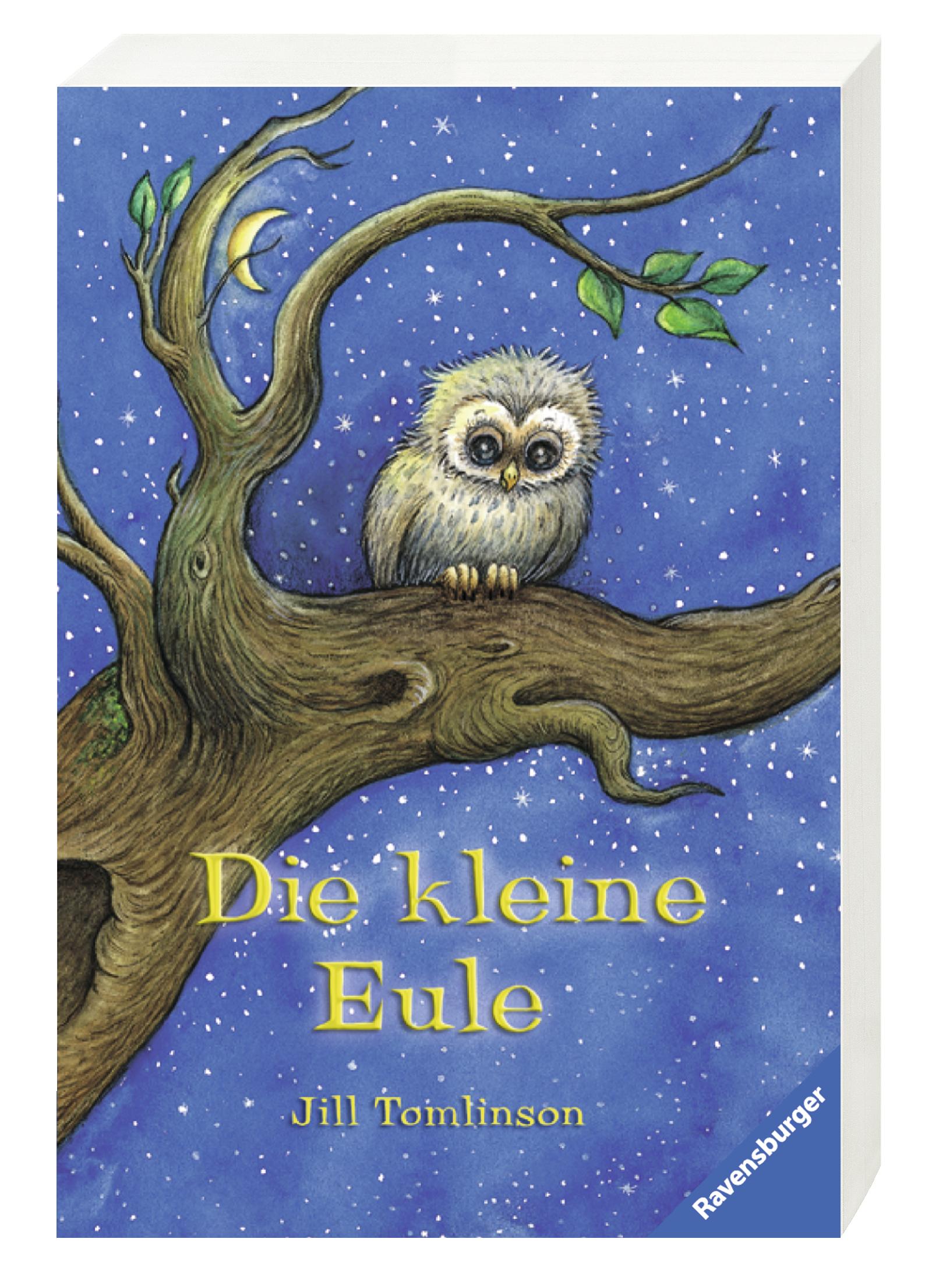 Die kleine Eule