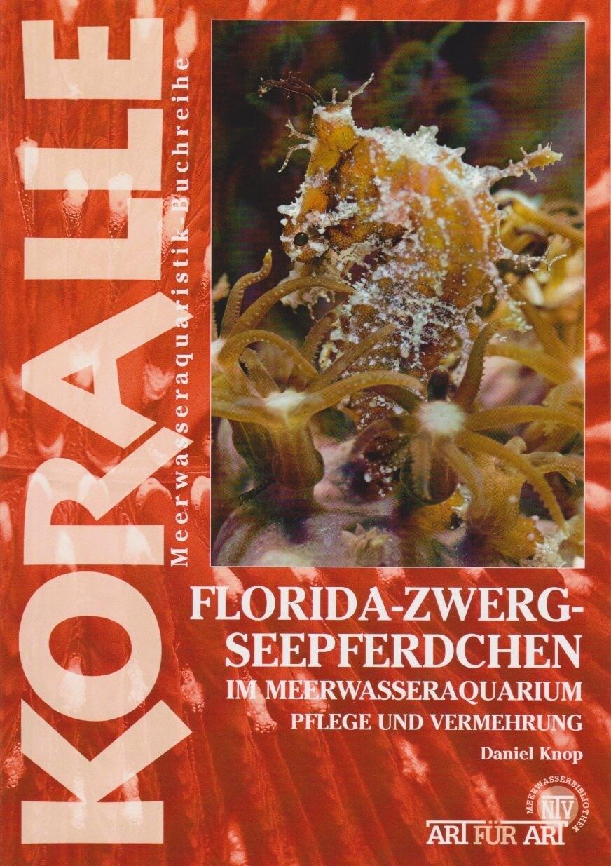 Art für Art 14. Florida-Zwergseepferdchen