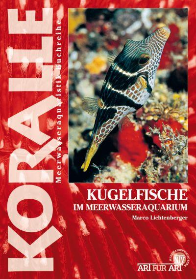 Art für Art 16. Kugelfische