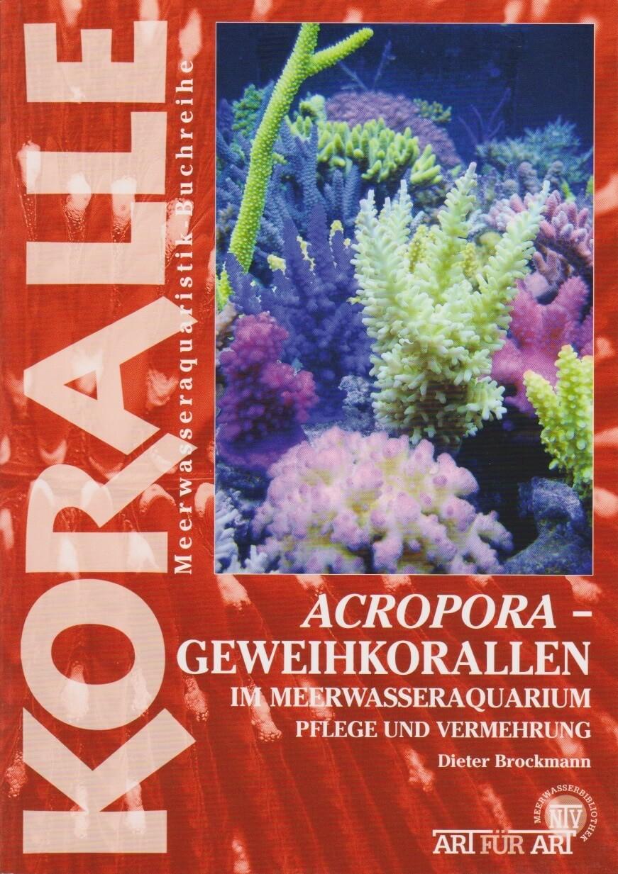 Art für Art 15. Acropora-Geweihkorallen