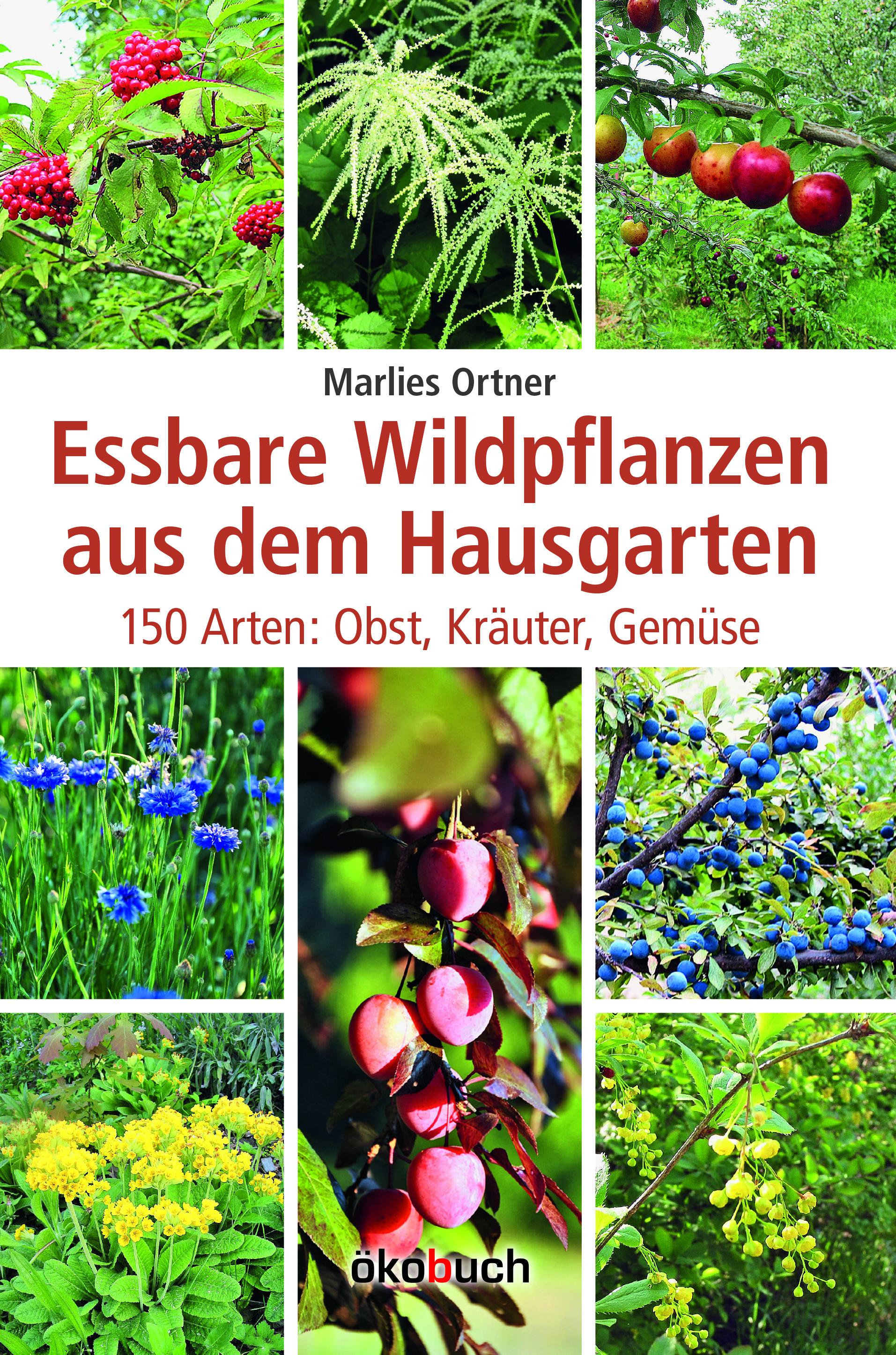 Essbare Wildpflanzen aus dem Hausgarten