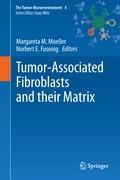 Tumor-Associated Fibroblasts and their Matrix