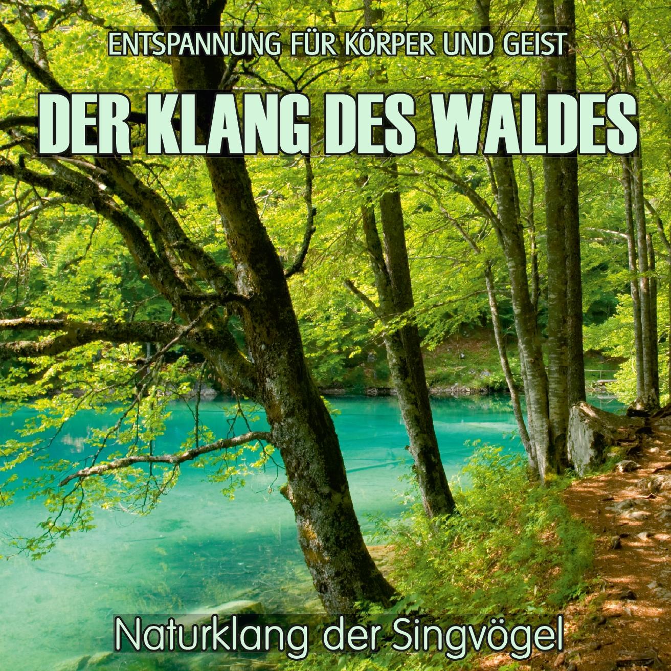 Der Klang des Waldes - Naturklang der Singvögel (ohne Musik)