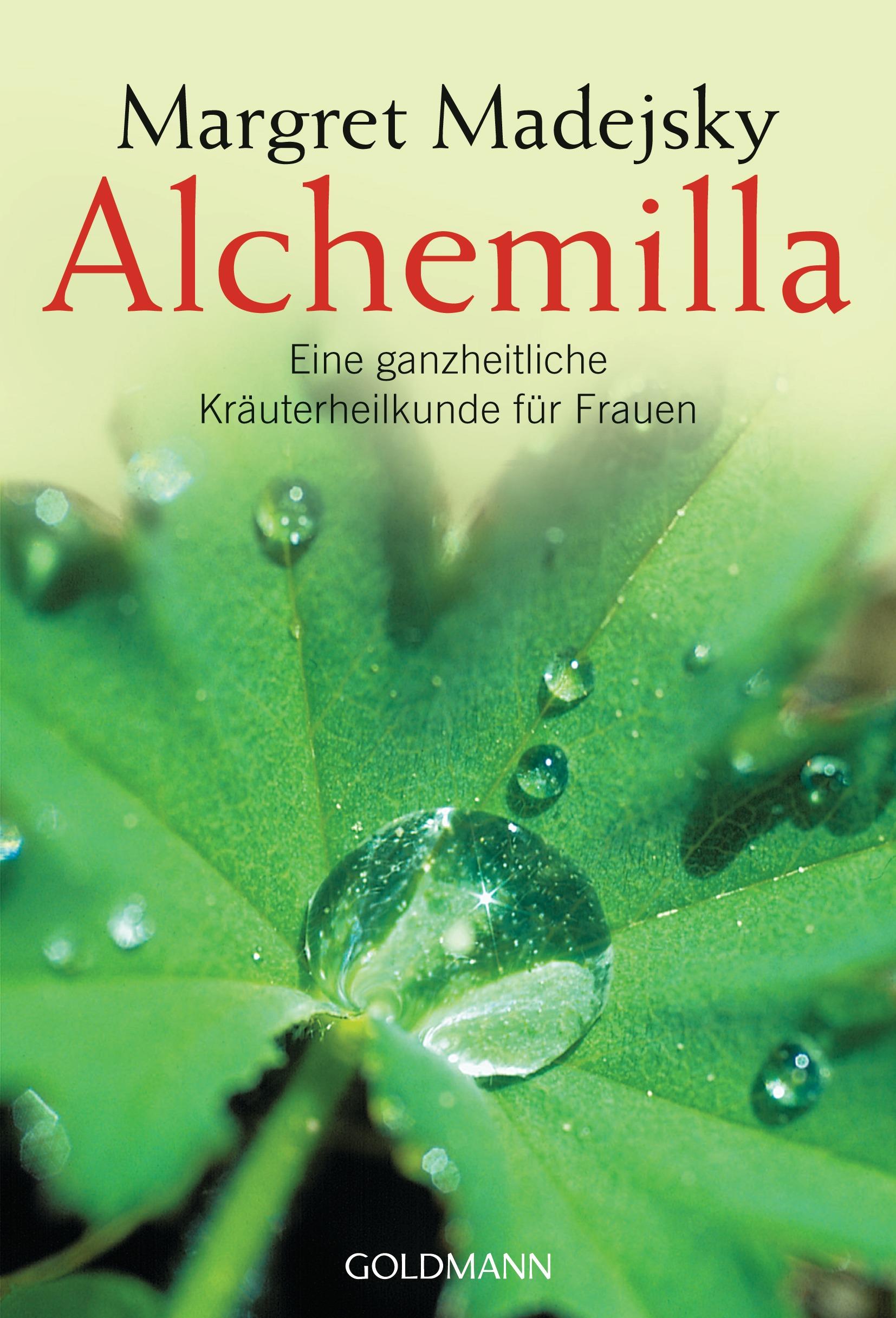 Alchemilla