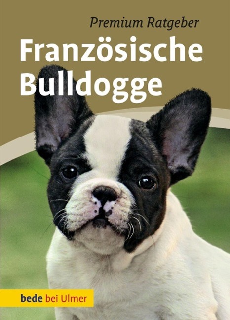 Französische Bulldogge