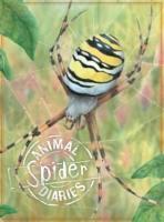 Animal Diaries: Spider