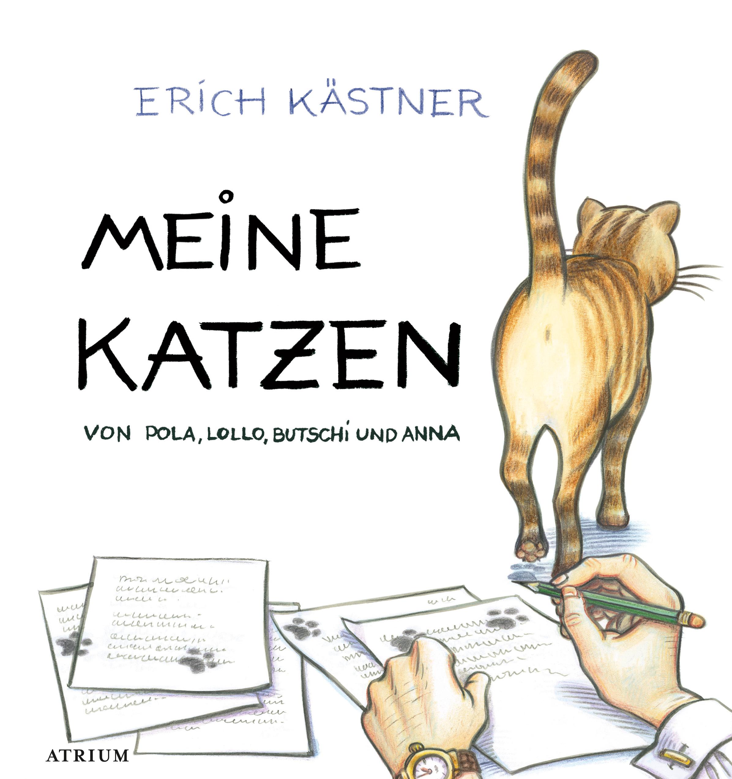 Meine Katzen