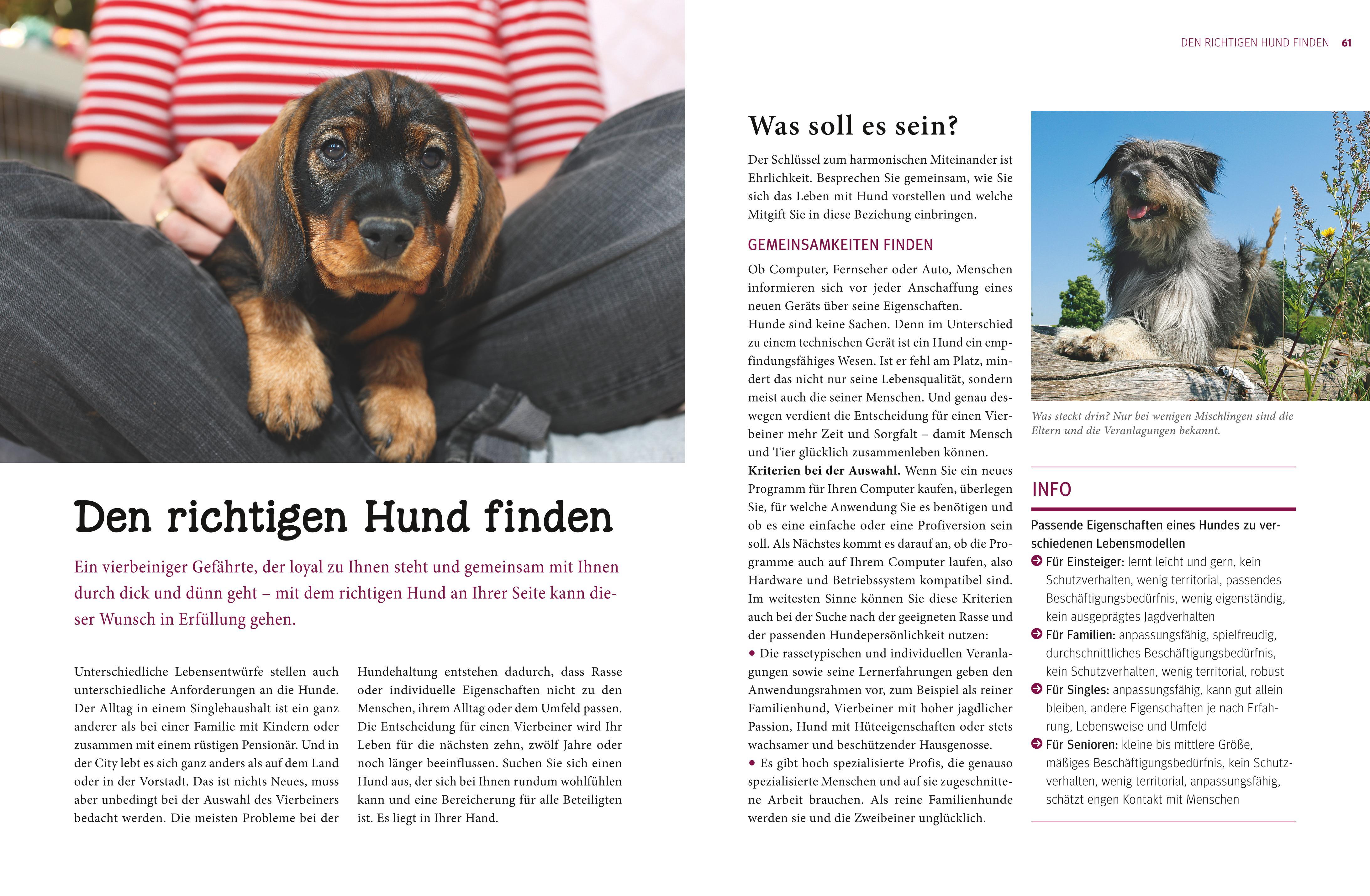 Praxishandbuch Hunde