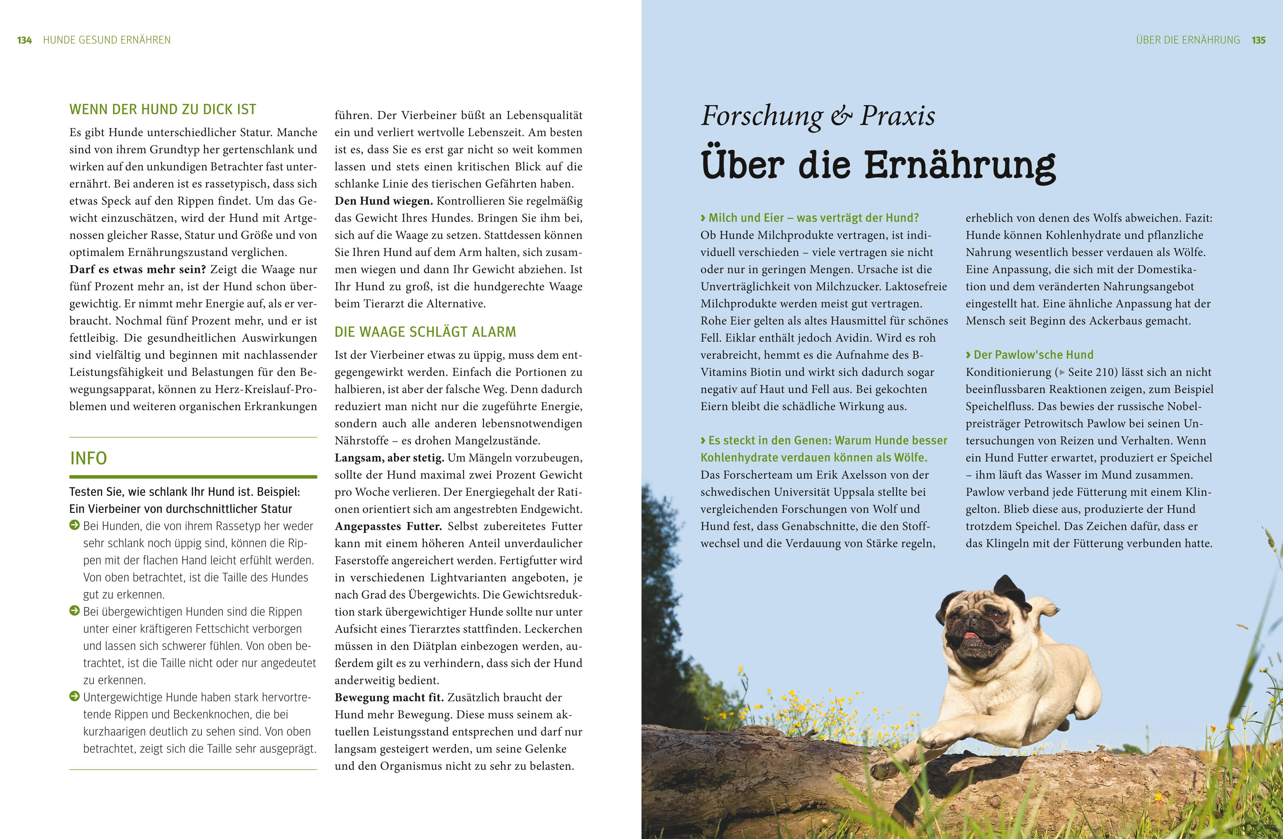 Praxishandbuch Hunde