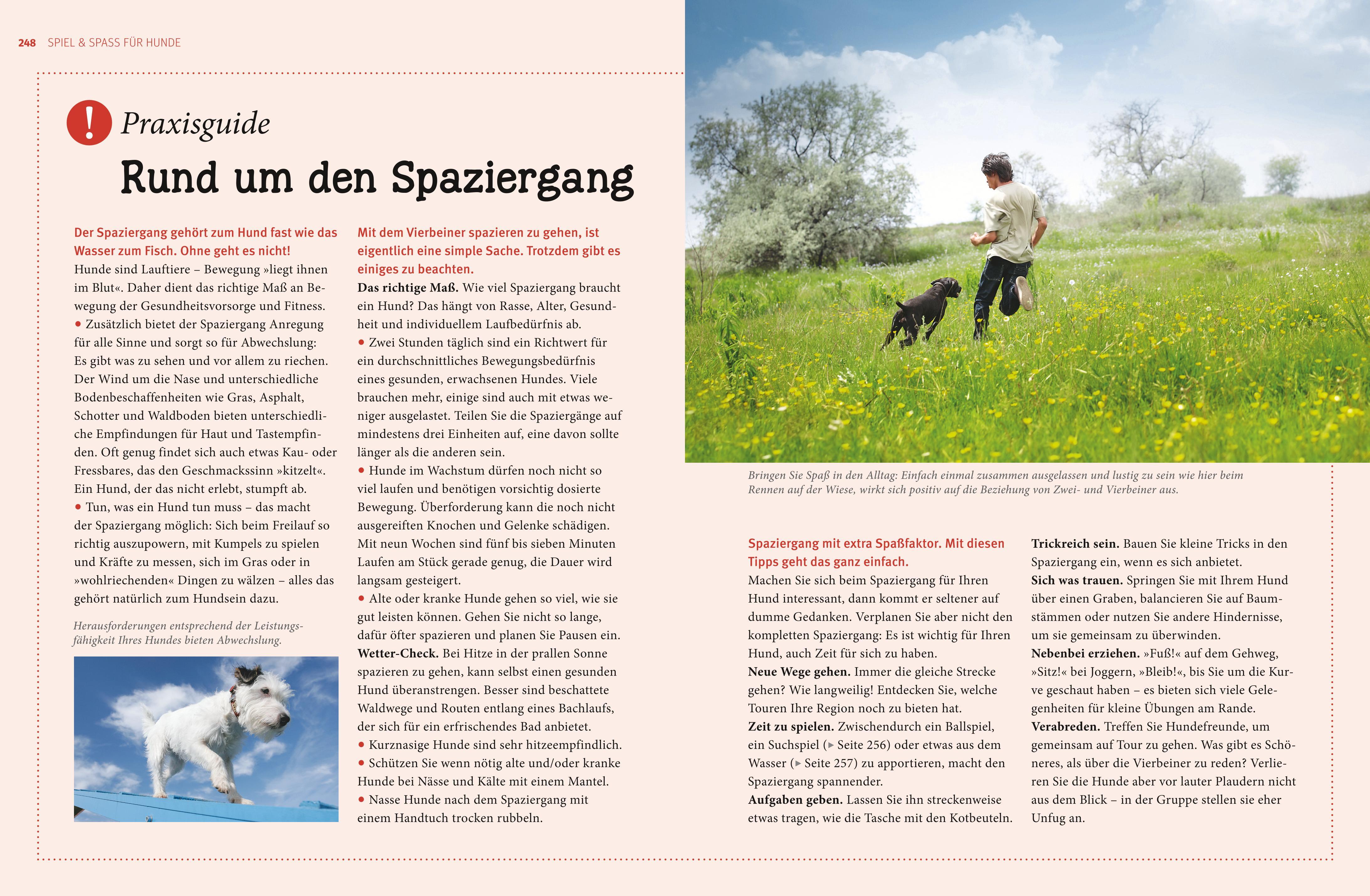 Praxishandbuch Hunde