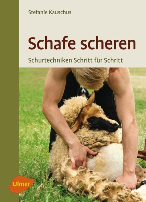 Schafe scheren