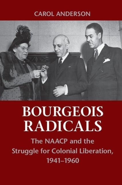 Bourgeois Radicals