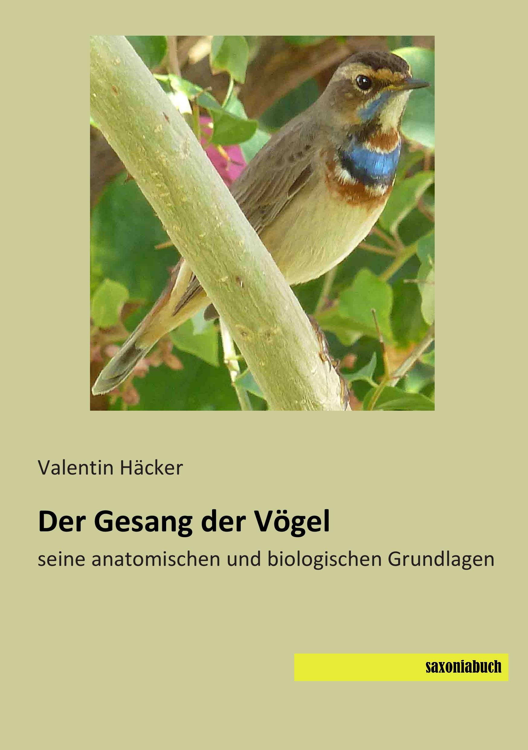 Der Gesang der Vögel