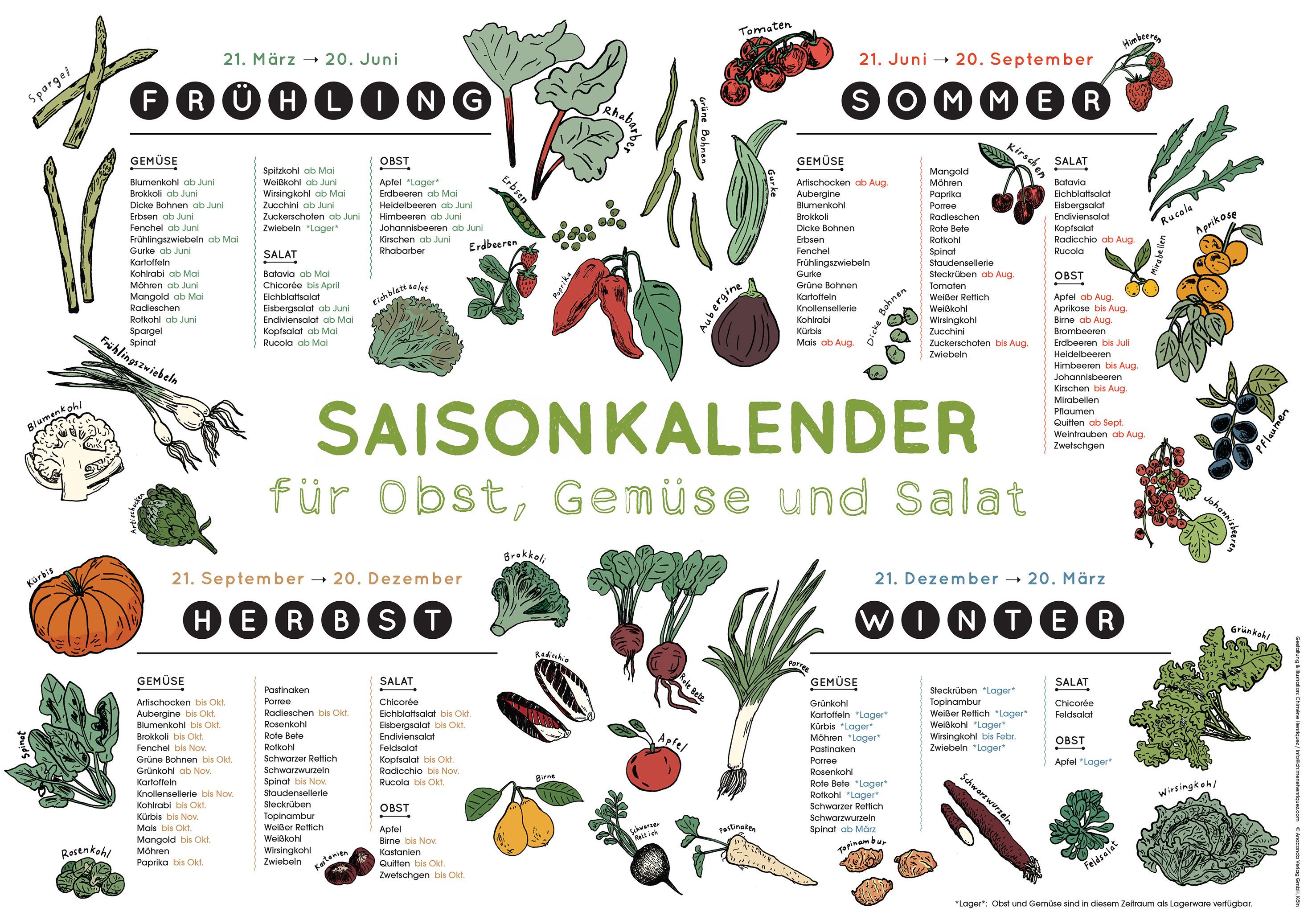 Saisonkalender für Obst, Gemüse und Salat