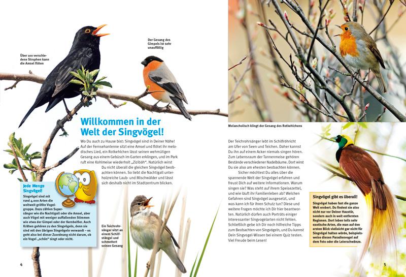 Entdecke die Singvögel