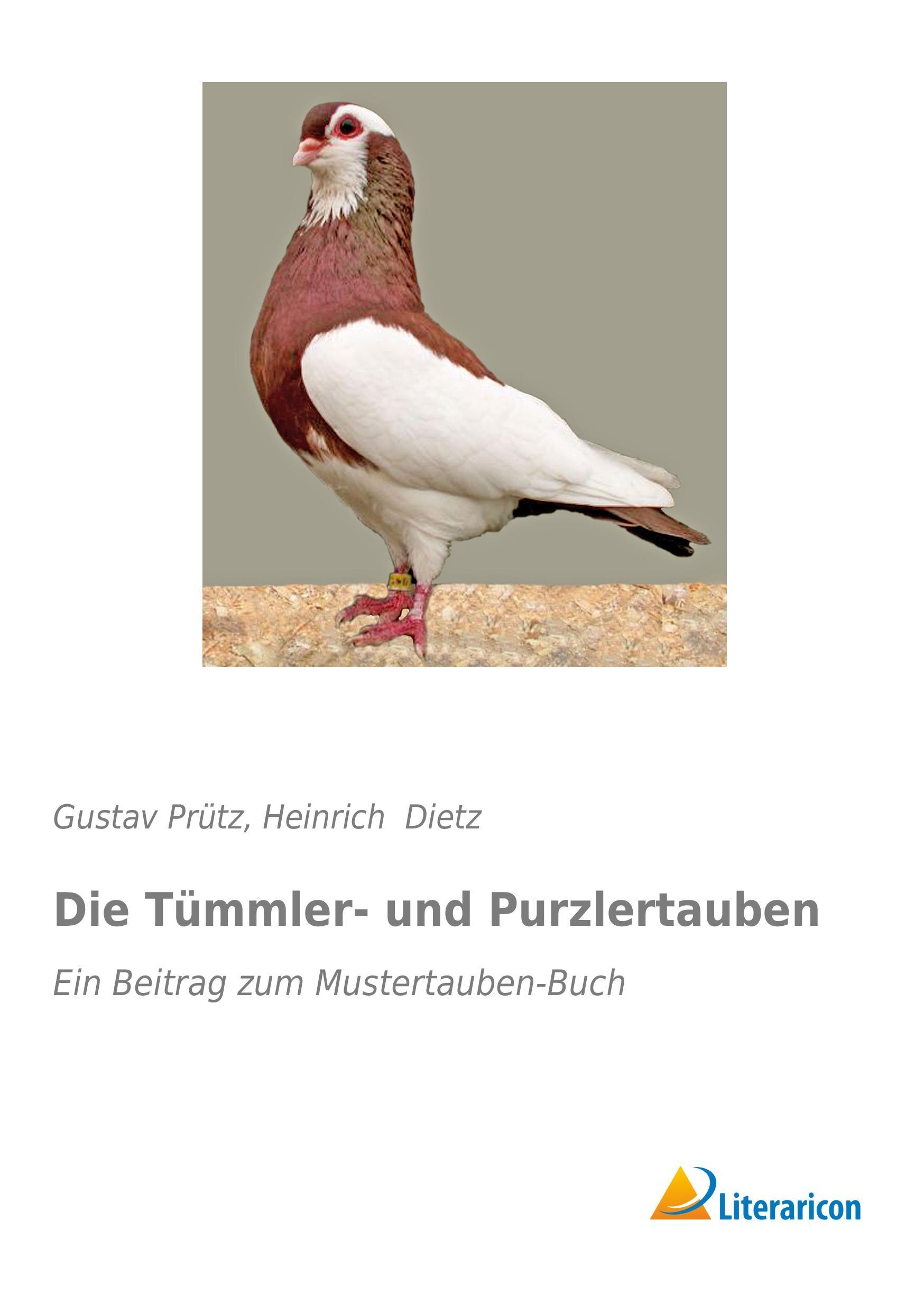 Die Tümmler- und Purzlertauben