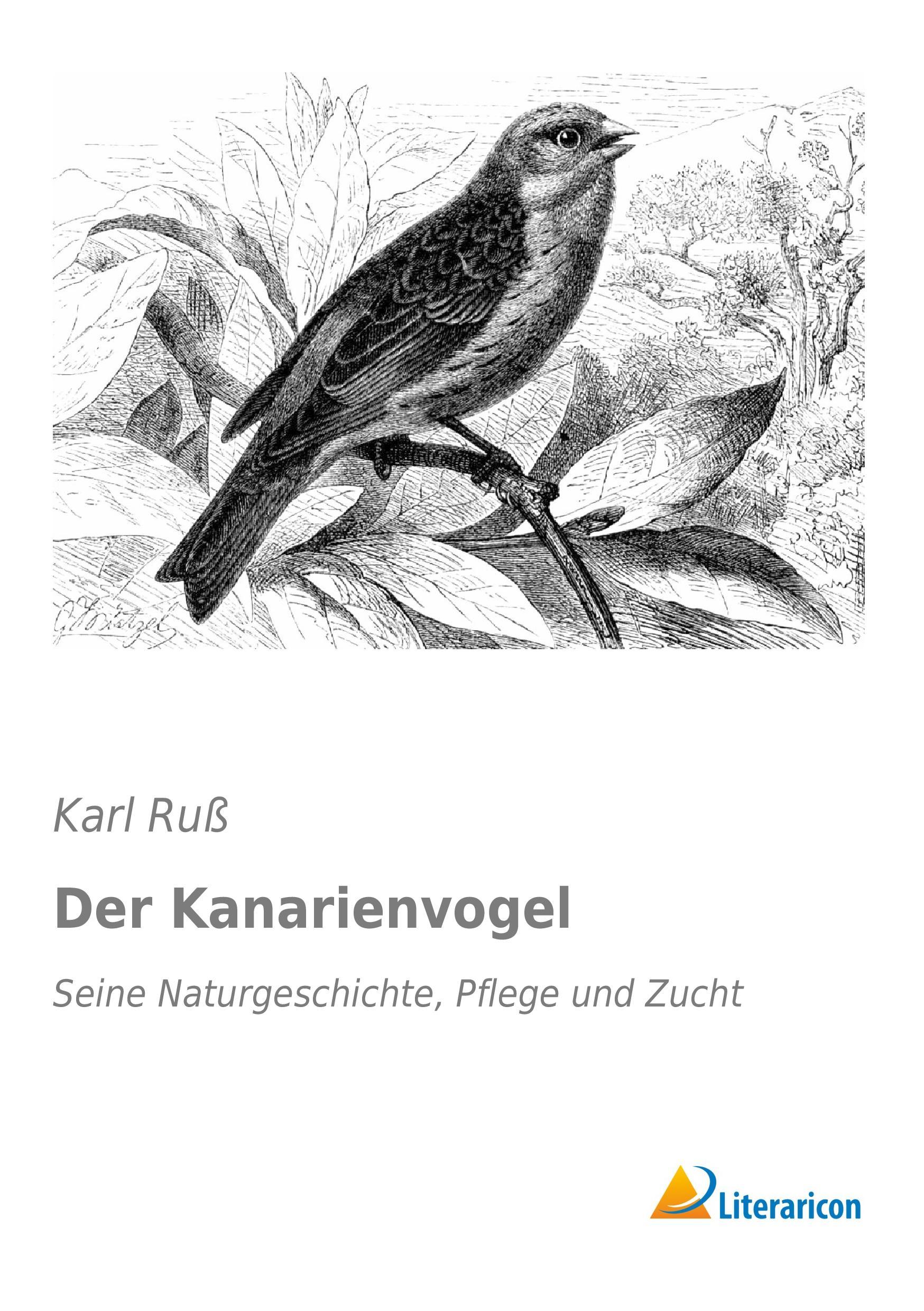 Der Kanarienvogel