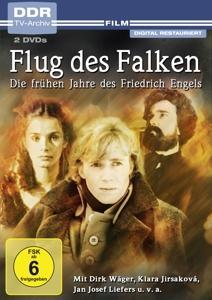 Flug des Falken