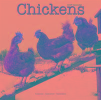 Chickens Calendar 2017