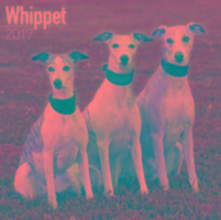 Whippet Calendar 2017