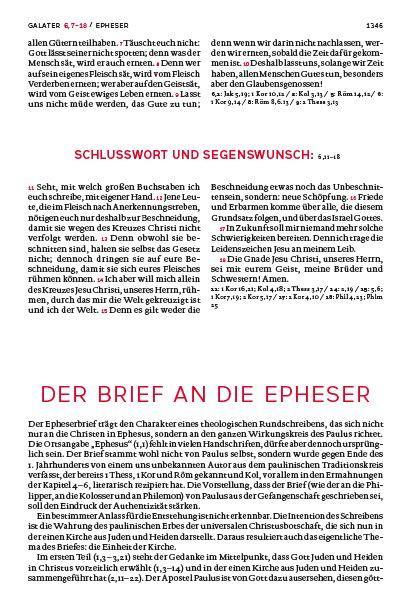 Die Bibel. Großdruck. Mit Familienchronik