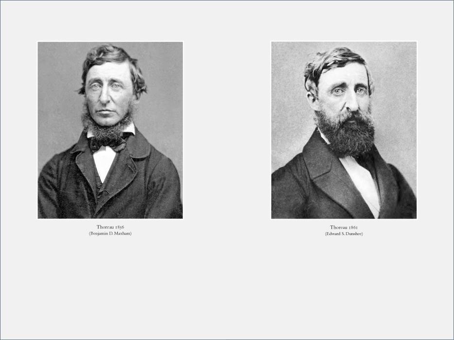 Henry David Thoreau