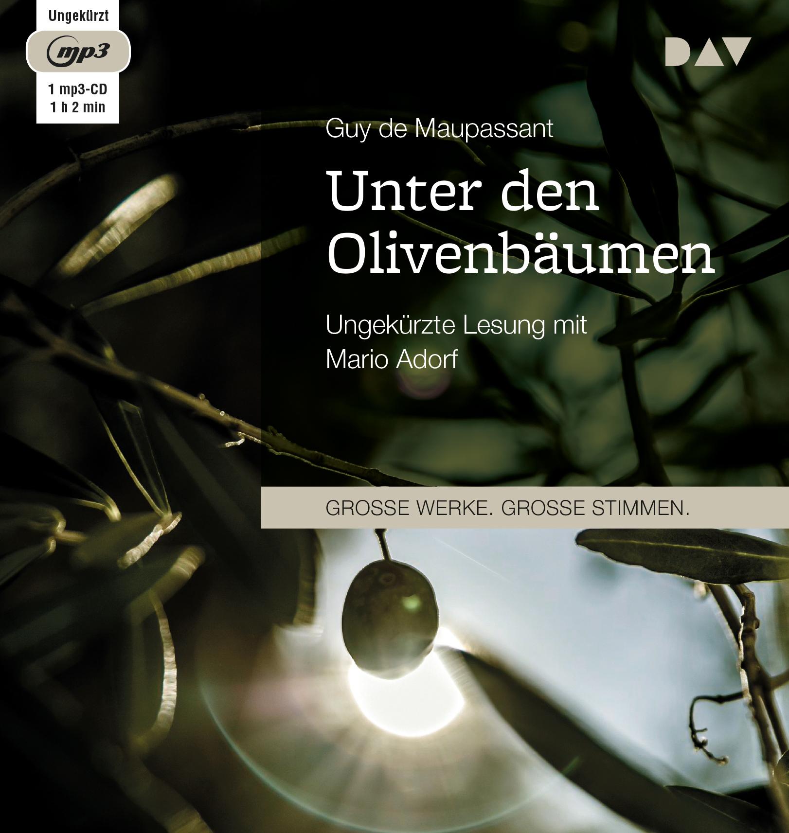 Unter den Olivenbäumen