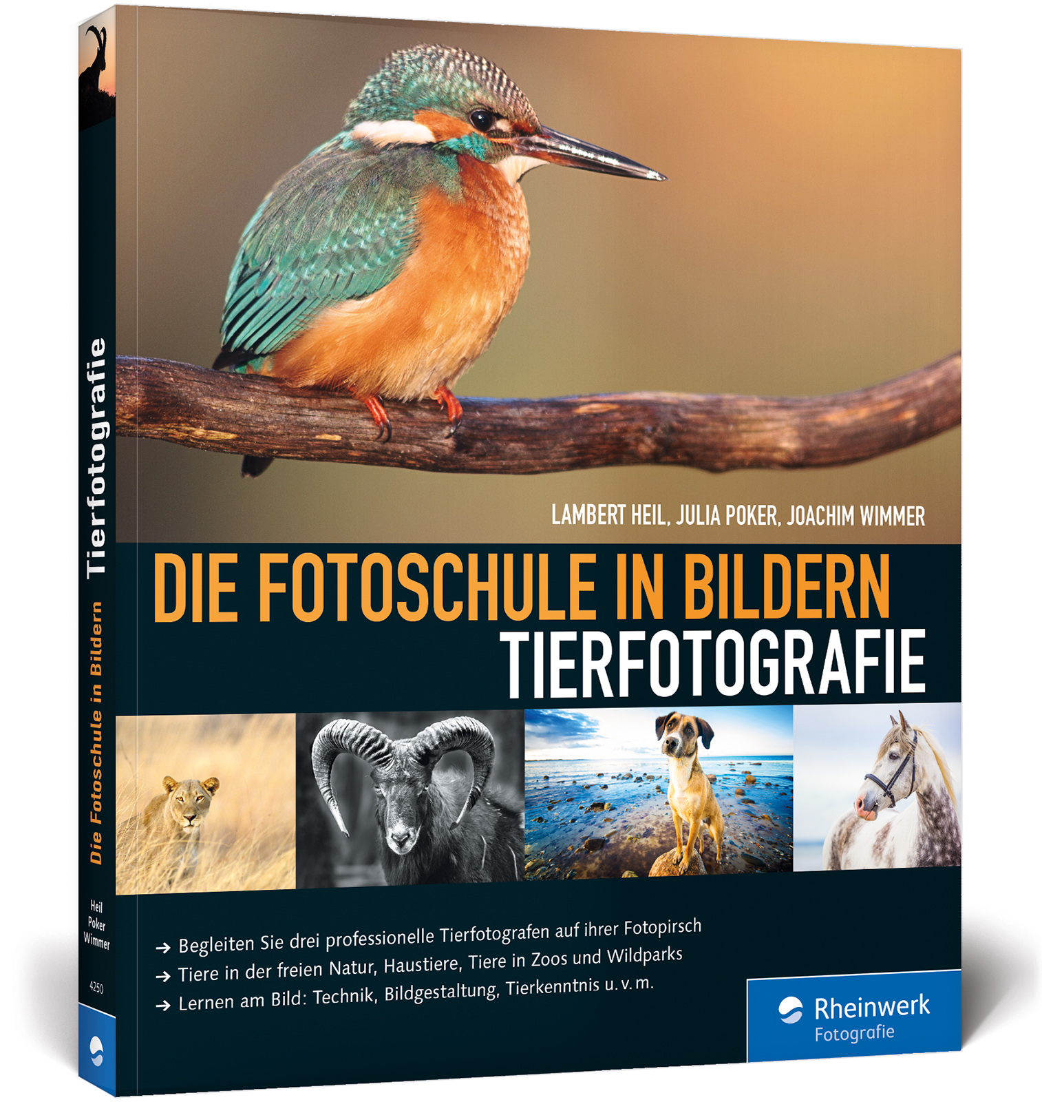 Die Fotoschule in Bildern. Tierfotografie