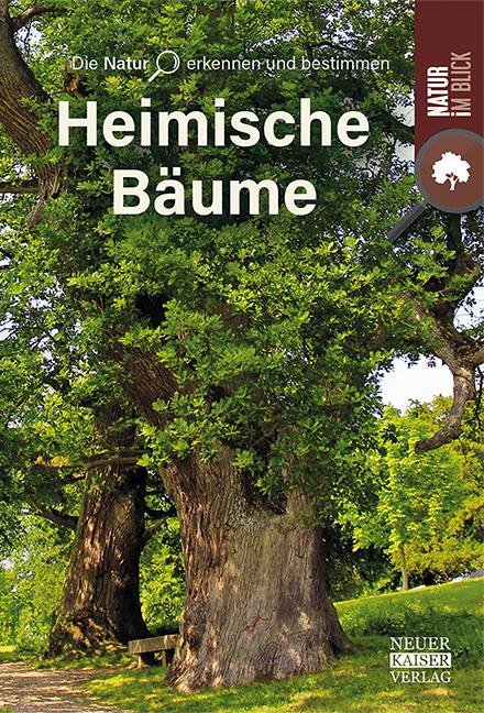 Bäume