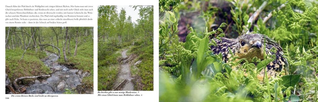 Lappland - Eine Reise in die letzte Wildnis Europas