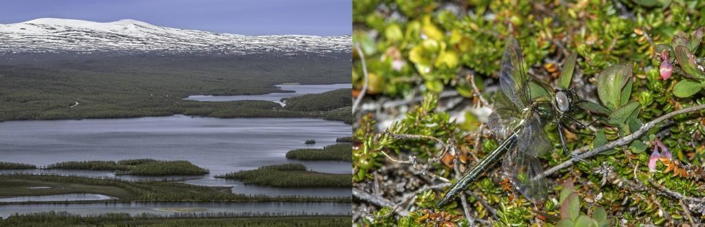 Lappland - Eine Reise in die letzte Wildnis Europas