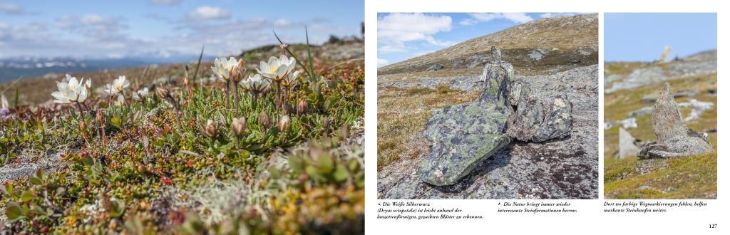 Lappland - Eine Reise in die letzte Wildnis Europas