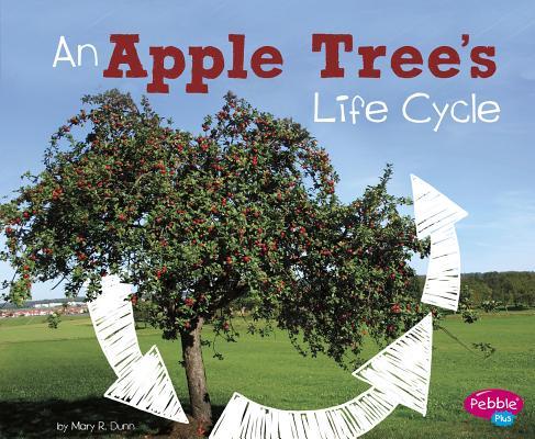 An Apple Tree's Life Cycle