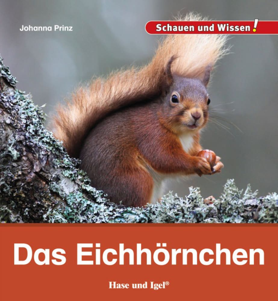 Das Eichhörnchen