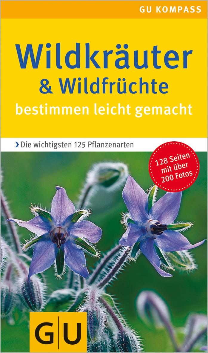 Wildkräuter. Wildfrüchte