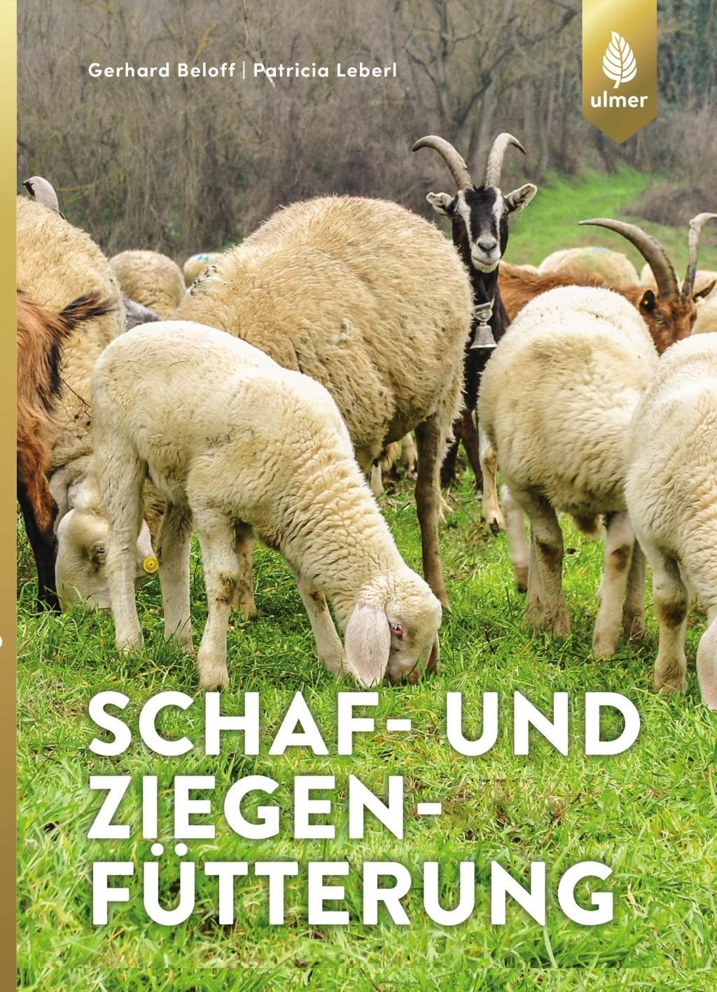 Schaf- und Ziegenfütterung