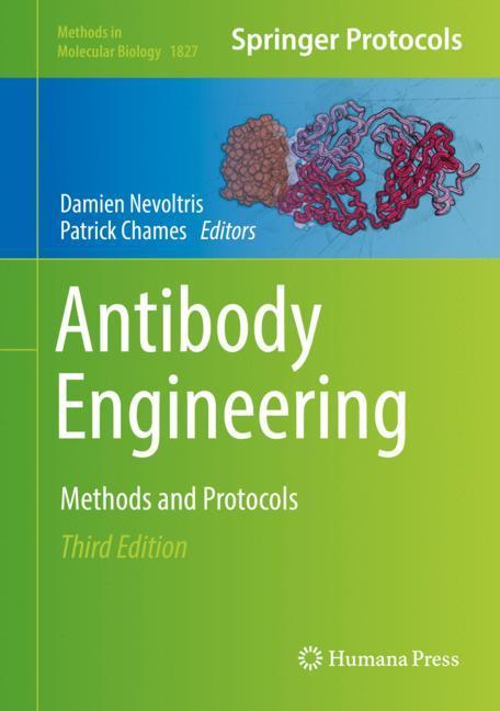 Antibody Engineering