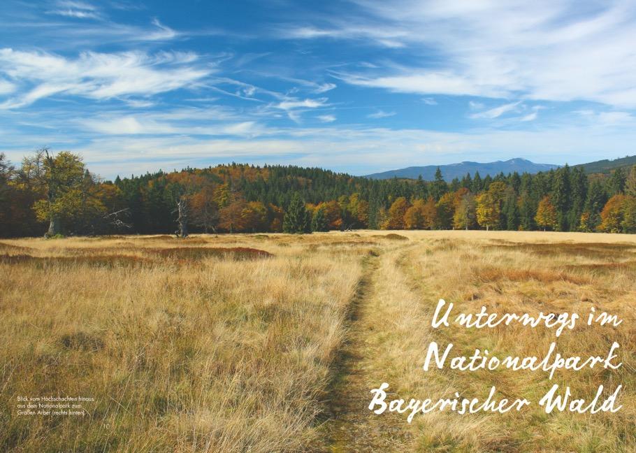 Meine Lieblingsausflüge im Bayerischen Wald: 30 Entdeckertouren zu malerischen Städten und Landschaften - Freizeitführer mit Wandern und Radeln im Nationalpark Bayerischer Wald und dem Dreiländereck