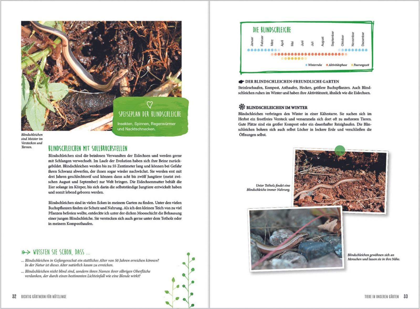 MDR Garten - Richtig gärtnern für Nützlinge