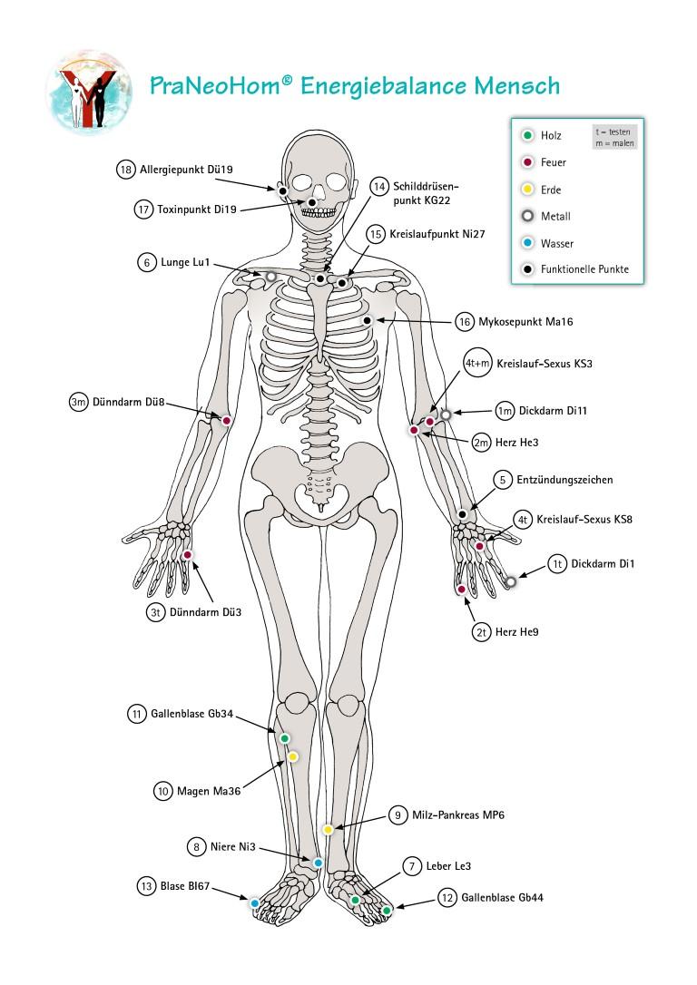 Akupunktur-Tafel Mensch