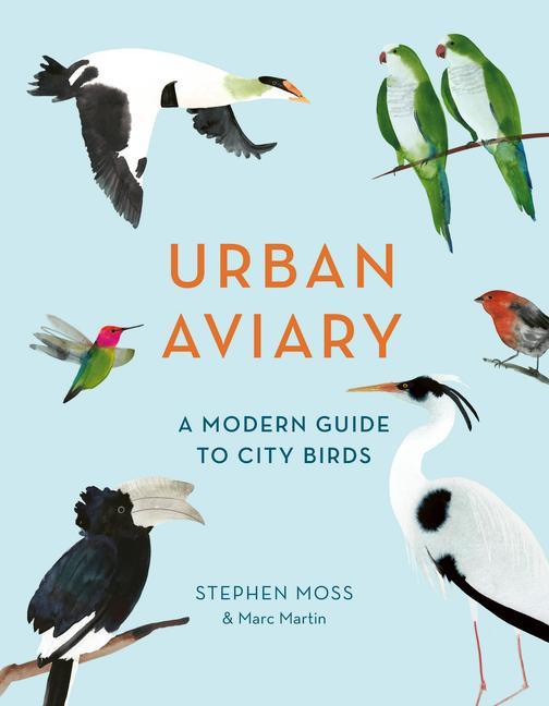 Urban Aviary: A Modern Guide to City Birds