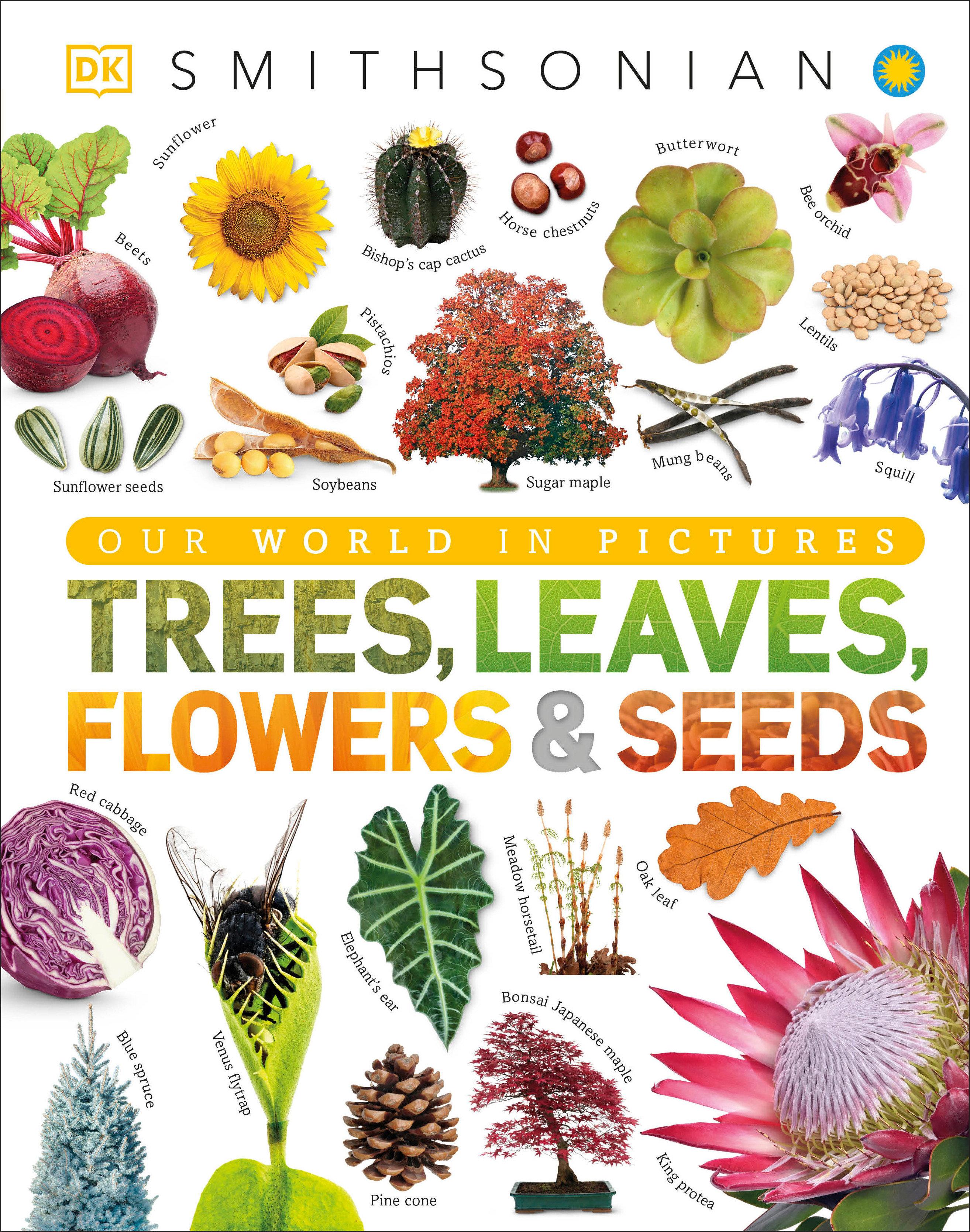 Trees, Leaves, Flowers and Seeds