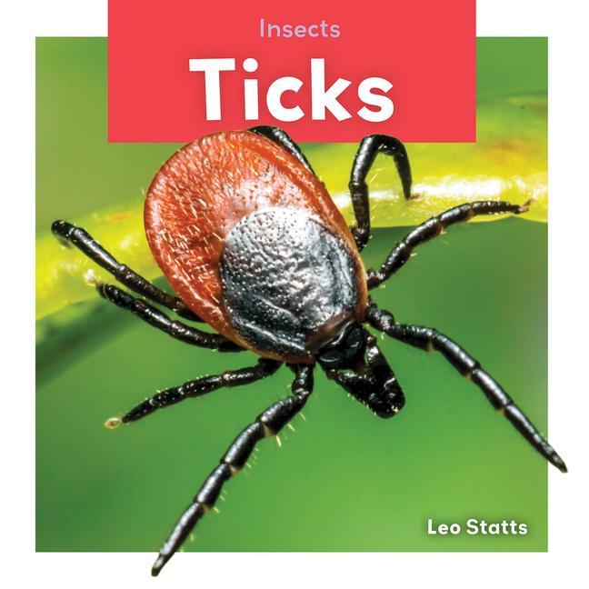 Ticks