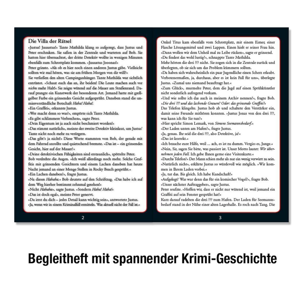 Krimipuzzle ??? 300 Teile / Die Villa der Rätsel (drei Fragezeichen)