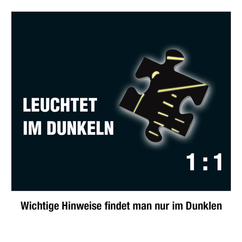 Krimipuzzle ??? 300 Teile / Die Villa der Rätsel (drei Fragezeichen)