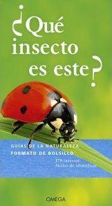 ¿Qué insecto es este?