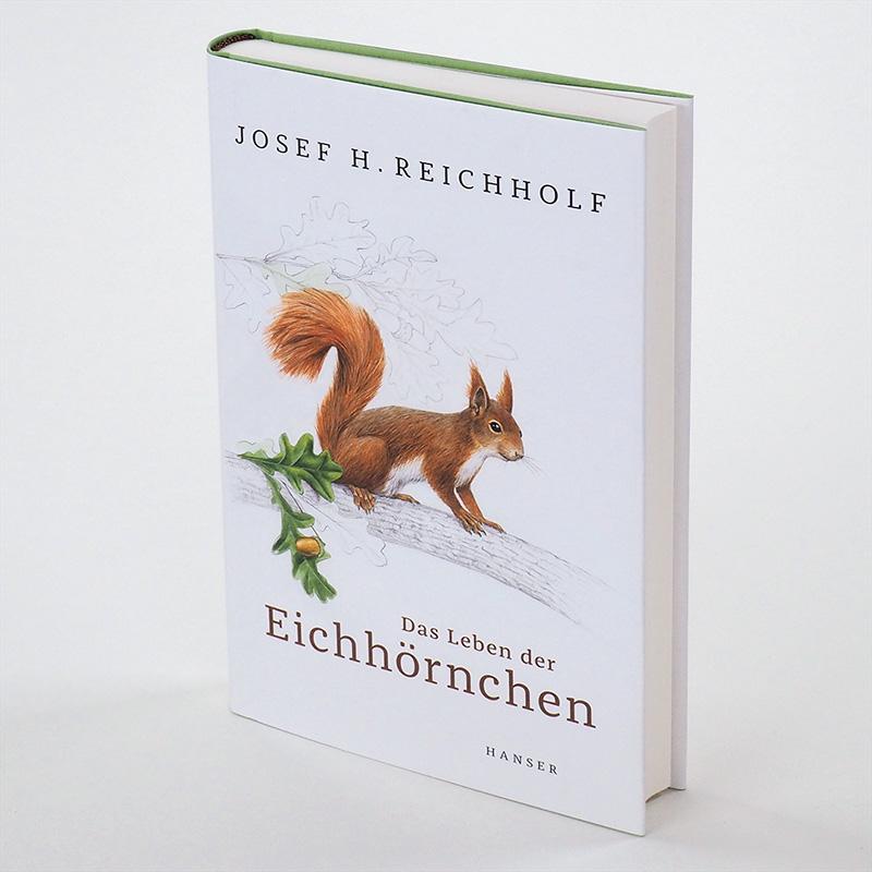 Das Leben der Eichhörnchen