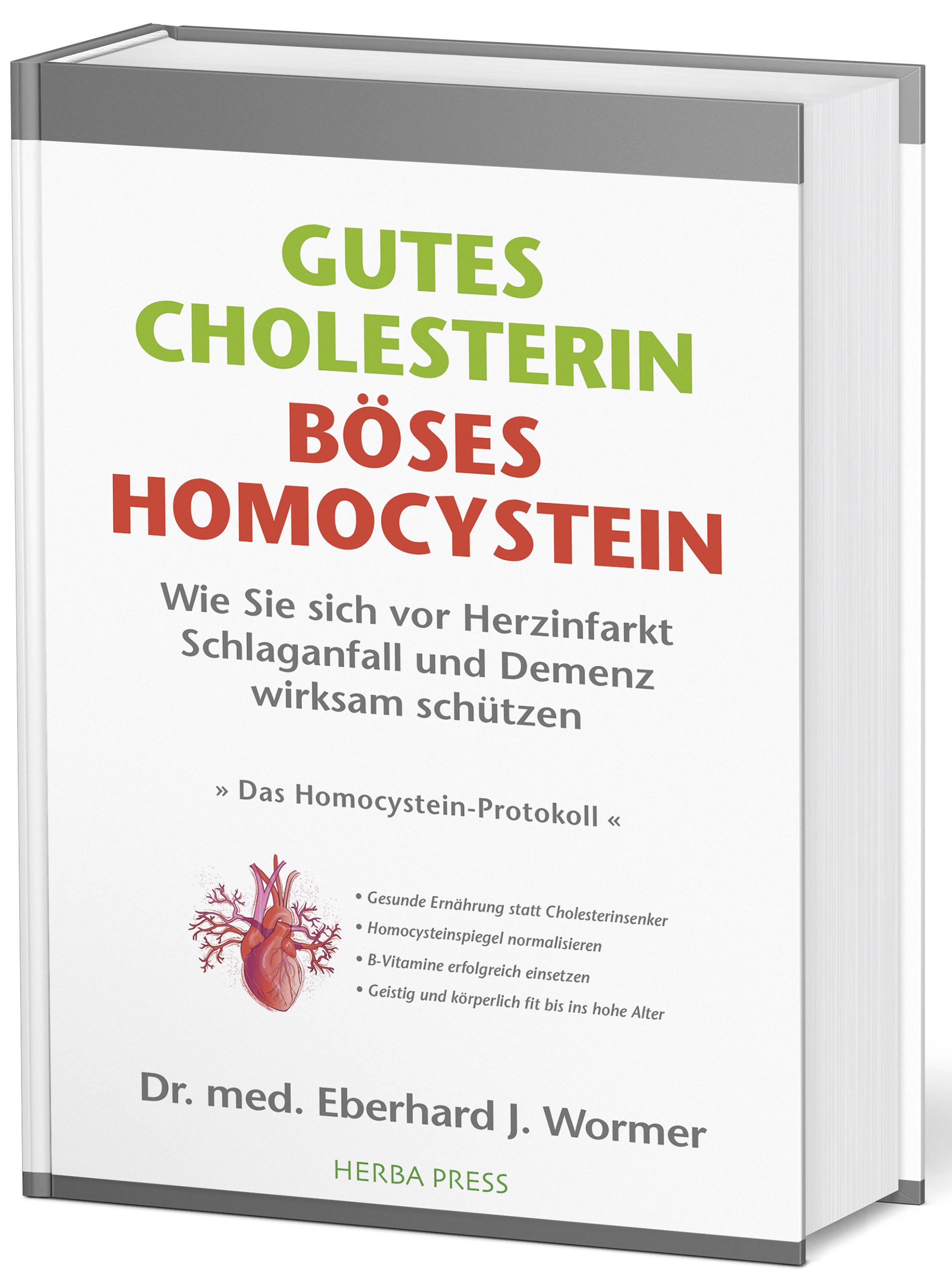 Gutes Cholesterin - Böses Homocystein